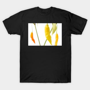 Capsicum baccatum  &#39;Havana Gold&#39;  Chili Pepper T-Shirt